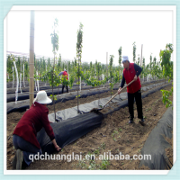 China agricultural woven PP weed mat/agricultural plastic weed control mat / ground cover net