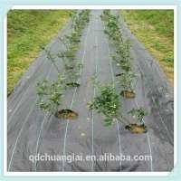 pp ground cover / woven weed mesh / fabric weed control barrier mat