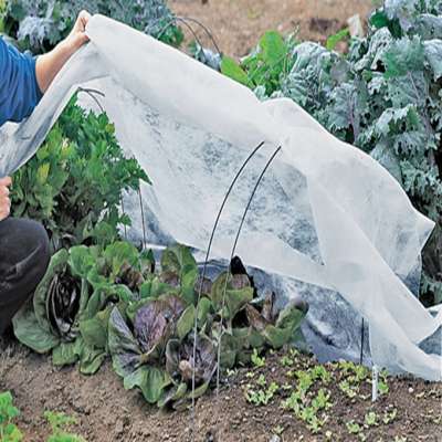 Agricultural Greenhouse Anti Insect Net For Vegetable Protection