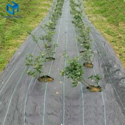 High quality heavy duty pp woven weed mat control fabric prevent grass for garden farm greenhouse