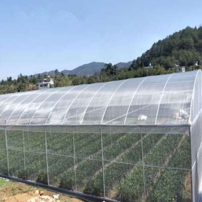 Good quality 100% HDPE insect net greenhouse anti insect net