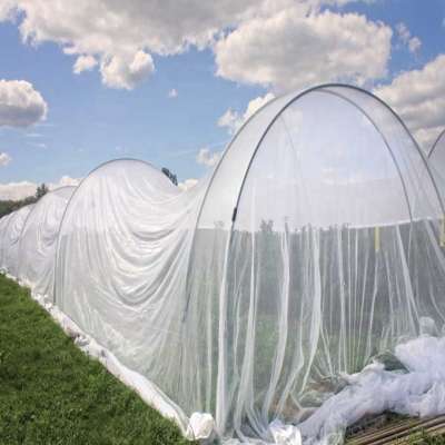 HDPE greenhouse Fruit tree Anti insect proof net