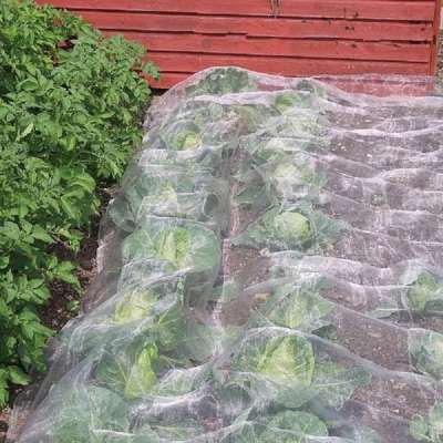 White Anti Insect Net Used In Cultivation Flowers