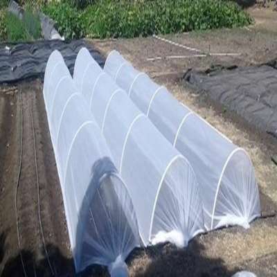 Best-selling product agricultural product anti insect net