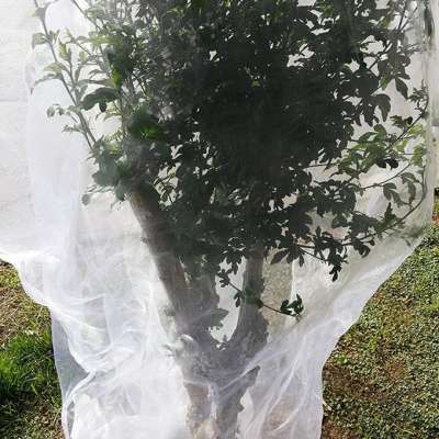 Greenhouse plastic anti insect net for Vegetable Gardens